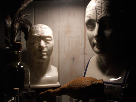 curiositycabinet3.jpg