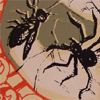 spiderflythumbnail.jpg