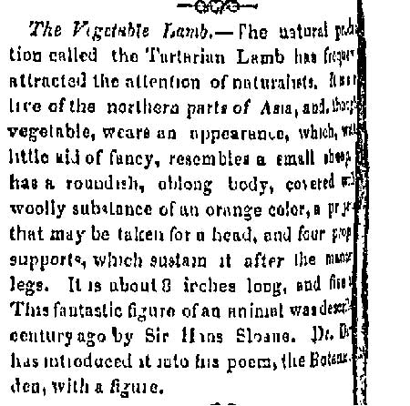 vegetablelambdescription.jpg